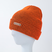 Automne hiver Style coréen Simple dôme Beanie couleur unie tricoté chapeau coupe-vent caractéristique à la mode en plein air voyage accessoire