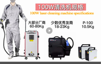 Mochila portátil 50W 100W eliminación de aceite de óxido máquina de limpieza láser pulsada para grafiti urbano madera Metal piedra ladrillo