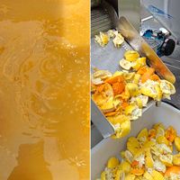 Industriële automatische dubbelrol sapcentrifuge met SUS304 behuizing, multi-voltage voor de productie van meerdere soorten fruitpulp/sap