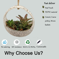 Plantes succulentes artificielles réalistes avec pot, décoration murale ou de bureau, fabriquées en Chine, ne se décolorent pas