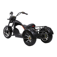 Tricycle électrique Citycoco 4000w 2000w 3000W puissant à 3 roues avec grande batterie au lithium