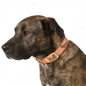 Collar de Perro de Diseño Personalizado, de Lujo, Táctico, Premium, con Hebilla de Metal Resistente, Ecológico, de Cuero PU y Poliéster - Product Image 6