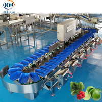 Automatische gewichtsclassificatiemachine met onafhankelijke besturingsmodule voor het sorteren van fruit, vis en gemengde materialen