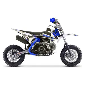 New Blue 70cc 4 stroke fully automatic smart pit bike kids dirt bike cross motorcycle T02 with CE