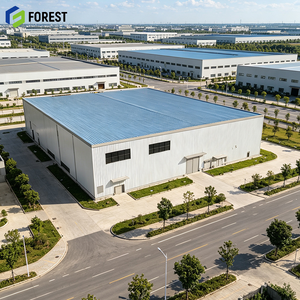 High Strength Galvanized Steel Structure Logistics Warehouse Heavy Duty Modular Industrial <b>Metal</b> Depot Frame - Product Image 1