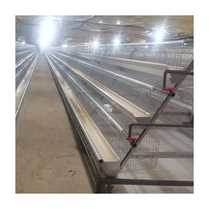 Otomatik 48/160 ile katmanlı tavuk kafesleri kuş <span class=keywords><strong>4</strong></span> katlı yüksek kaliteli katman a tipi yemleme ekipmanları - Product Image 2