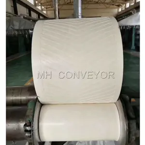 Mining Machinery Parts Belt Rubber For Coal Conveyor Belt 8mpa-24mpa 200mm-2500mm 4mm-30mm Cn Heb Heat Resistant 65+-5 Nn/ep