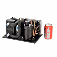 Mini-refroidisseur AC, unité de condensation à tube de cuivre pour réfrigération, refroidisseur de gaz, compresseur, armoires solaires pour crème glacée