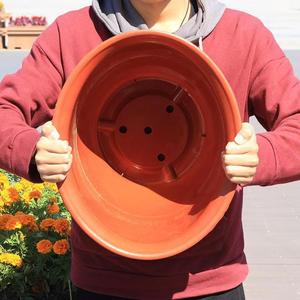 <span class=keywords><strong>Maceta</strong></span> de Plástico Ecológica Grande con Diseño Retro y Orificio de Drenaje para Jardinería, Plantas de Vivero y Plantación de Árboles - Product Image 4