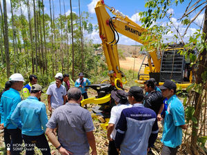 Accesorio para Excavadora Forestal XUVOL, Máquina Cortadora de Madera, Cortadora de Árboles de Doble Cilindro, Cortadora de Ramas, Máx. Corte de 450 mm - Product Image 6