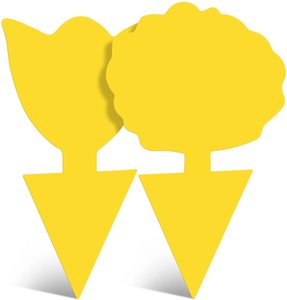 Bán buôn không độc hại và không vị Vàng dính Hội Đồng Quản Trị cho trong nhà bảo vệ nhà máy hai mặt dính côn trùng Catcher - Product Image 2