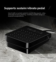 Professional Electric Digital Piano Sustain Pedal ABS Material Musical Instrument Accessory for Keyboard Players