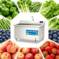 Fabrieksdirect aangepaste spanning frequentie ozonbelwasser 220V voor het reinigen van groenten met water, eenvoudig te bedienen, wereldwijde markt