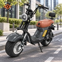 Trottinette Électrique à Pneus Larges Deux Places Grande Roue Modèle Urbain pour Adultes pour Commandes de Distributeurs et de Flottes de Location