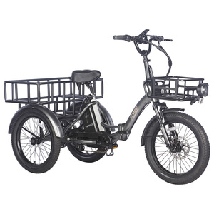 FAFREES F20 Tricycle robuste avec moteur 500W, capacité de charge de 180 kg, autonomie de 110 km, design pliable, vitesse de 30 km/h, 48V EU UK - Product Image 1