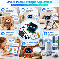Modul Model Suara AI AISK untuk Produsen Mainan Boneka dengan Layar Tampilan, Pendamping Emosional AI, Memori ChatGPT Gemini OEM ODM