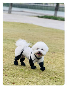 <span class=keywords><strong>Go</strong></span> Dog Shoes Quatre Saisons Universel Imperméable Antidérapant Pet Supplies Animal Pattern Protective Dog Shoes for Spring Halloween - Product Image 6