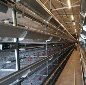 Nuevo Gallinero Automático de Alta Calidad al Mejor <span class=keywords><strong>Precio</strong></span>, con Alimentación y Bebedero Automáticos, de Tres Niveles, Tipo H - Product Image 4