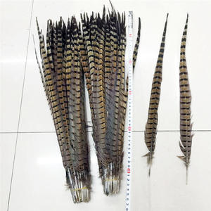 Groothandel 20-60Cm Natuurlijke Fazant Staartveren Grappige Kat Stick Diy Hoofdtooi Accessoires Geverfde Veren - Product Image 1
