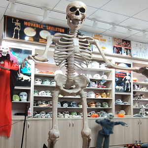 <span class=keywords><strong>Scheletro</strong></span> Gigante Assemblato per <span class=keywords><strong>Halloween</strong></span>, Modello Z288, Altezza 8,2 Piedi (Approssimativamente 2,5 Metri), con Suono Elettrico, per Uso Transfrontaliero - Product Image 2