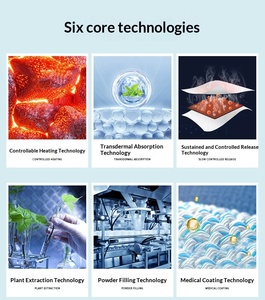 Parche <span class=keywords><strong>de</strong></span> Artemisia Personalizado <span class=keywords><strong>de</strong></span> Larga Duración, Calienta Suavemente la Cintura, Mejora la Columna Lumbar, Cuidado Corporal, Calor para la Cintura - Product Image 5