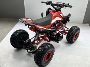 <span class=keywords><strong>Quad</strong></span> 125cc à refroidissement par air, 4 roues, à essence, pour travaux agricoles et loisirs, directement de l'usine, OEM/ODM - Product Image 4