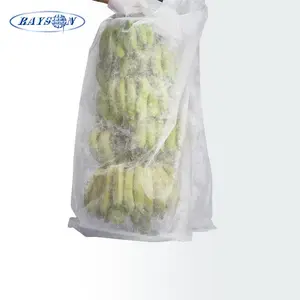 3% UV PP Non Woven Protection Banana Cover Bag In 17gr White Color