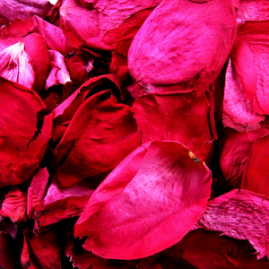 Pétalos de Rosa Secos y Conservados 100% Naturales de Alta Calidad, Té de Flores de Rosa Herbal para Decoración del Día de la Madre y Acción de Gracias - Product Image 1