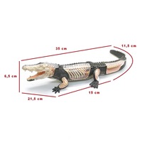 Modèle de crocodile 4D Master éducatif à assembler, 26 pièces, en plastique simulé, pour l'enseignement anatomique médical des organes