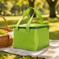 Sac isotherme personnalisé en non-tissé pour la livraison, emballage jetable pour plats à emporter, sac à lunch isotherme en gros