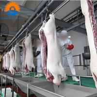 Solution clé en main pour abattoir de porcs entièrement automatique, équipement d'abattage de porcs, machines en acier inoxydable certifiées CE