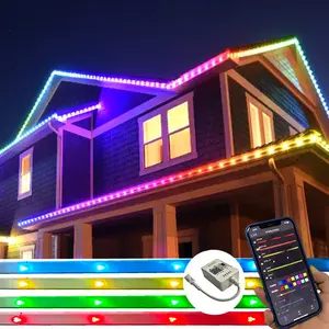 أحجار كريمة دائمة عطلة ضوء Led قنديل البحر ضوء مخصص ضوء 30 بكسل ضوء