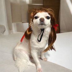 Il Pup imbottito del Pup del principe treccia treccia mascotte WFGG4GM - Product Image 1