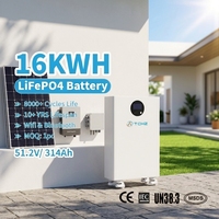 Batería de Litio de 16kwh 15kwh con Certificación CE, Batería de Litio Solar de 51.2v 48v 300ah 314ah para Almacenamiento de Energía Doméstica