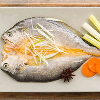 Offre Spéciale : Poisson Papillon Jaune (Petit Croaker) Congelé, Certifié HACCP, Congélation BQF, Origine Chine, Durée de Conservation 12 Mois