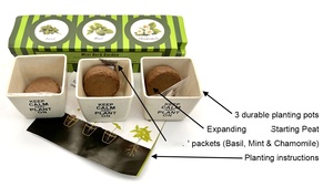 Kit de Jardín de Hierbas Minimalista para Cultivar en Casa, Herramientas de Jardinería en Maceta, Solución Perfecta para Plantar para <span class=keywords><strong>Estudiantes</strong></span> - Product Image 4