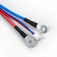 Harnais de câblage électrique personnalisé OEM avec borne annulaire pour équipement automobile, moto et industriel