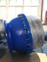 Vanne à clapet en fonte avec bride, conforme à la norme ANSI Classe 150, corps en fonte ductile, filtre en acier inoxydable, classe de pression 150, directement de l'usine