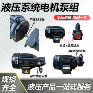 Nueva Unidad de Motor de Bomba de Aceite Hidráulica de Eje Interno VP20+0.75KW 1.5, Accesorios para Estación Hidráulica de Alta Presión - Product Image 5