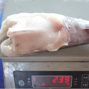 Cola de Monja Congelada de Alta Calidad a Buen <span class=keywords><strong>Precio</strong></span> de Fábrica - Product Image 1