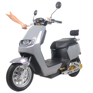 Motocicleta Eléctrica Todoterreno Gris Elegante 2026 |   Batería de 72V 20Ah |   Controlador de 15 Tubos |   Directo de Fábrica en Tianjin - Product Image 1