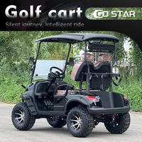 Kendaraan Golf Listrik 2 Kursi yang Legal di Jalan Raya, Dilengkapi Lampu LED, Bersertifikasi CE, Kendaraan Antar-Jemput Hotel dan Resor