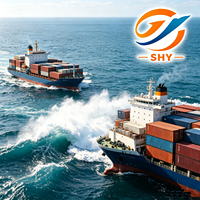 El Servicio DDP Más Económico, Agente de Transporte Marítimo de China a Alemania HAJ1 DTM2 WRO5, Agente de Transporte, Logística de Alibaba
