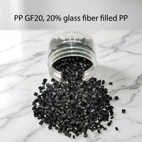Granulés de polypropylène (PP) modifiés avec 25 % de fibres de verre (GF25%) – Matière première en résine plastique GF25 PP