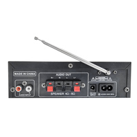 AV298 2 Kanallı HIFI Araç Güç Amplifikatör Kartı, Çift Mikrofonlu Reverb Özellikli