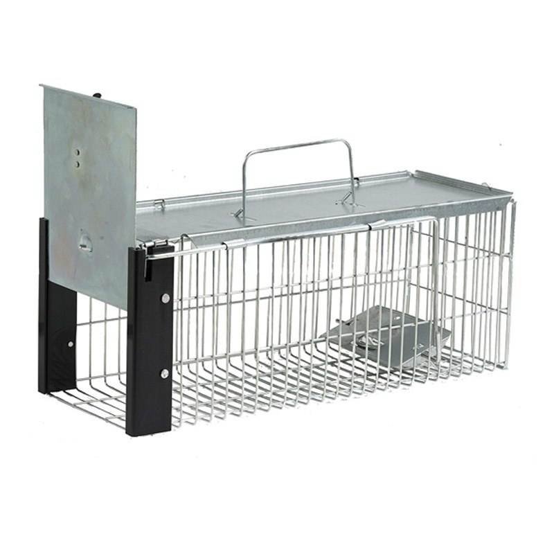 Contacta con nosotros