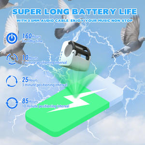 Traceur GPS pour oiseaux perroquets <span class=keywords><strong>aigle</strong></span>, suivi des pigeons voyageurs, lecture de la trajectoire, anneau de patte, entraînement au vol, portée de 500 kilomètres - Product Image 4