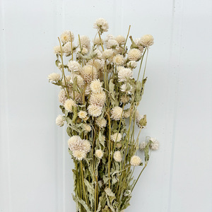 Tiges d'amarante globe séchées en gros, fleurs éternelles naturelles de Gomphrena pour la vente au détail aux fleuristes et les fournitures d'artisanat DIY - Product Image 1