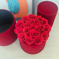 AM-PFB08 Ammy Rose éternelle en boîte ronde en velours, cadeau de fleurs éternelles pour la Saint-Valentin, la fête des mères, décoration de la maison