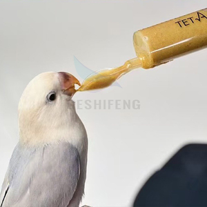 4 조각 앵무새 새 먹이 키트 바늘 실린더 20ML 병 50ML 카나리아 아기 새 물 마시는 사람 음식 피더 - Product Image 1